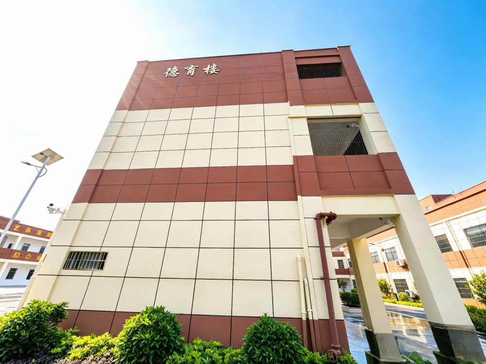 2026甄选迪庆值得信赖的叛逆孩子改变学校如何选择