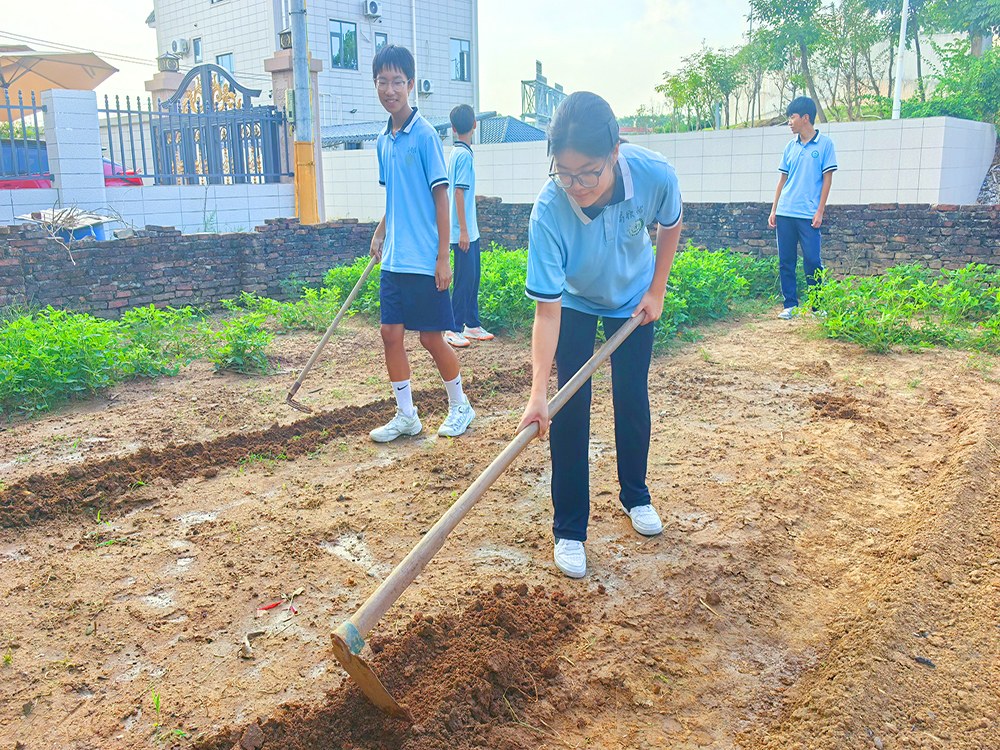 云南迪庆正规孩子不读书管教学校具体位置与择校指南