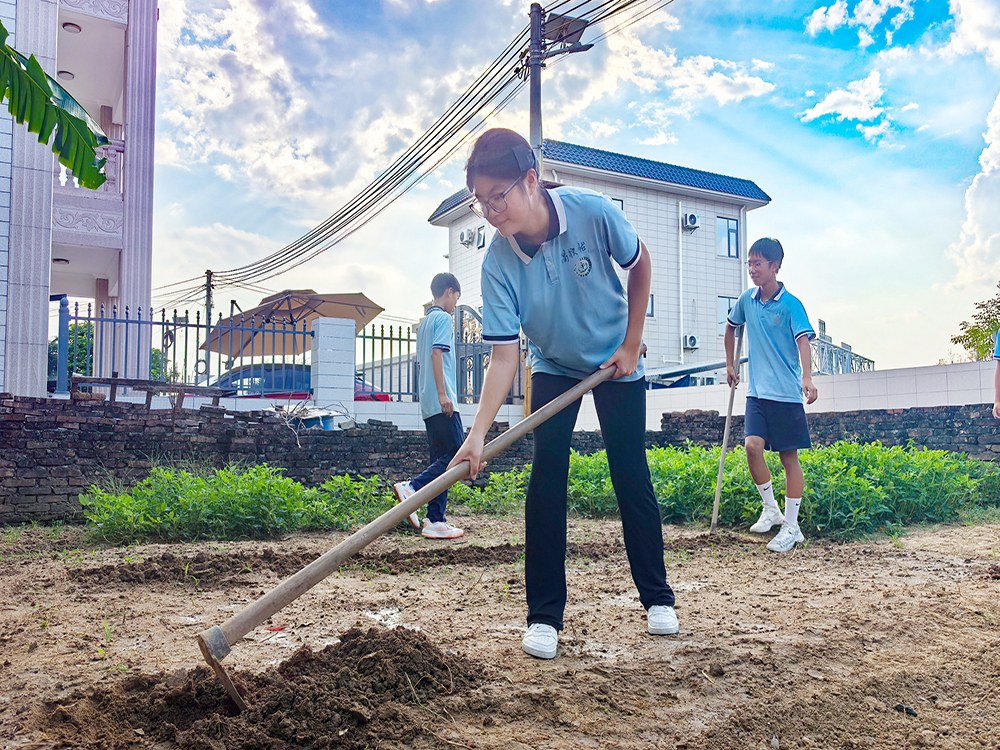 云南迪庆不听话孩子教育学校联系电话与择校指南